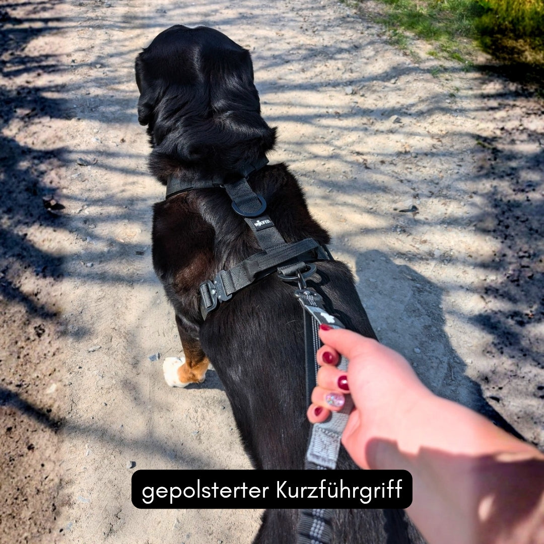 Jogging- & Wanderleine mit gepolstertem Kurzführgriff (grau) am Geschirr eines großen schwarzen Hundes, Rückenansicht auf Pf(