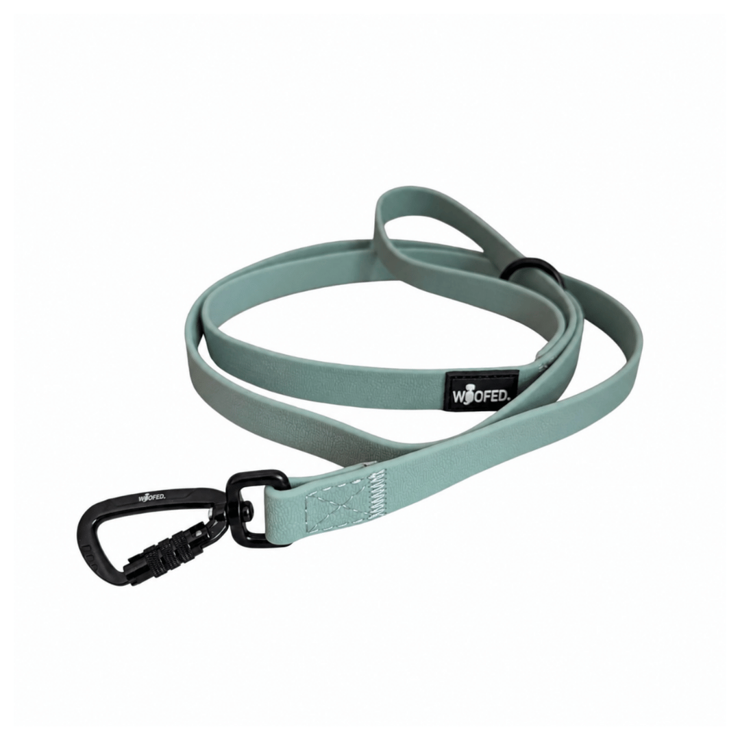 Führleine WOOFLEX® Pro Handschlaufe Jade Green