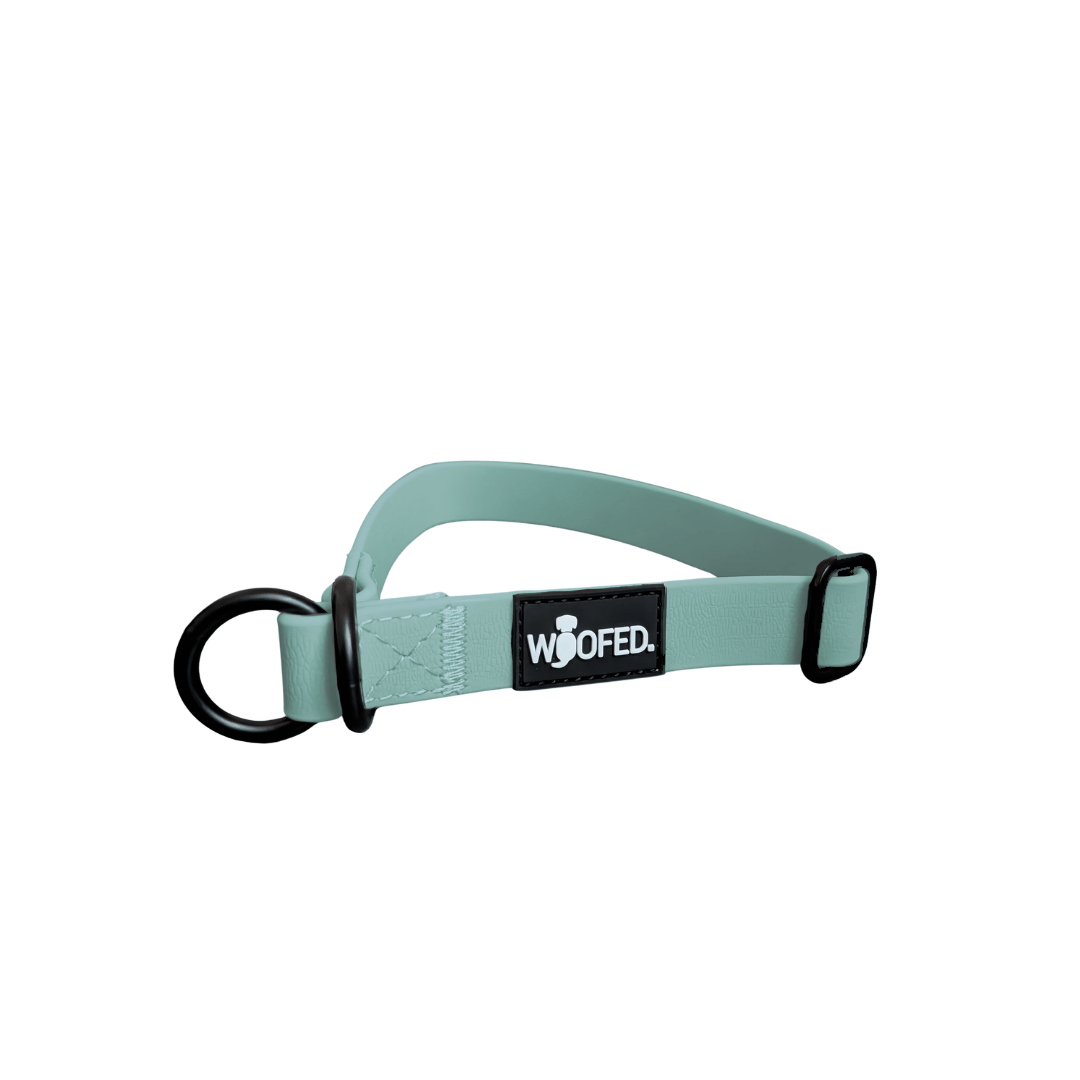 Zugstopphalsband WOOFLEX® Jade Green