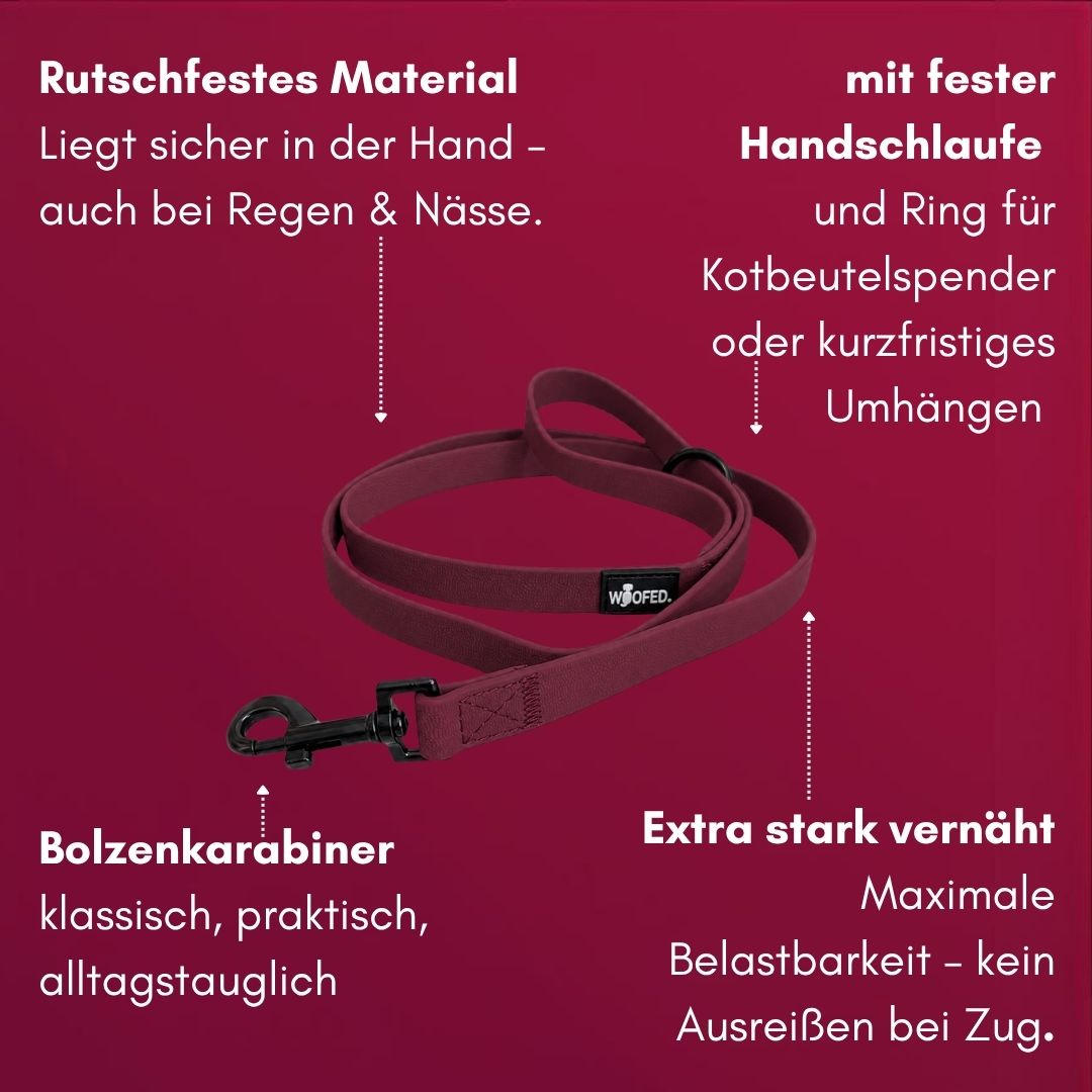 Vorteile der wasserfesten Hundeleine mit Handschlaufe wie Rutschfest, Bolzenkarabiner, Handschlaufe und Ring 