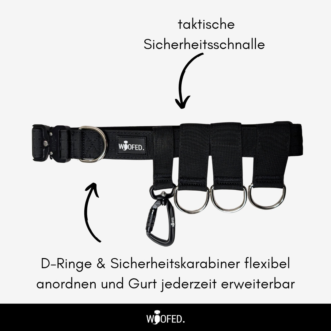 Schwarzer Gassigürtel flach liegend, taktische Schnalle links, vier Metall-D‑Ringe und hängender Sicherheitskarabiner, Fronal