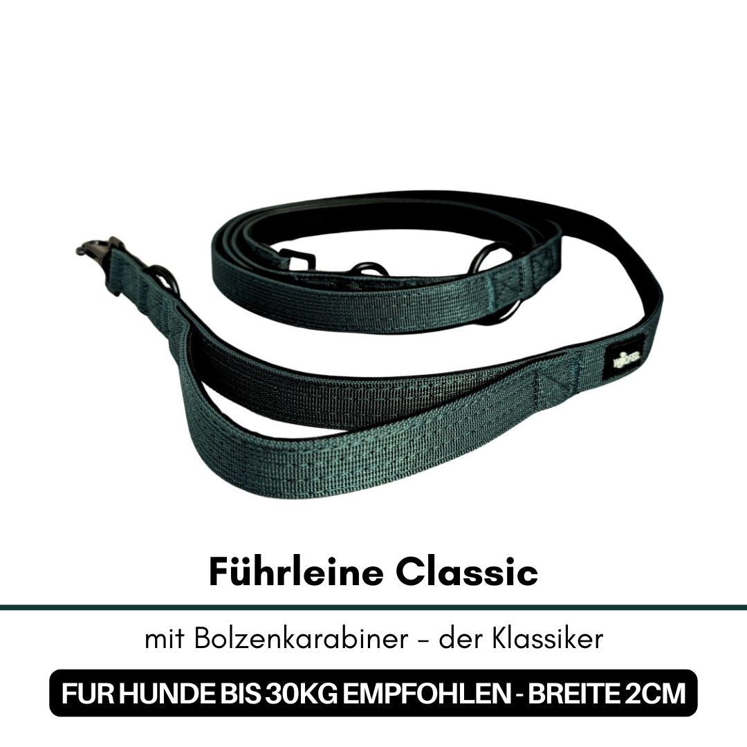 Dunkelgrüne Nylon-Führleine Classic, aufgerollt, mit Bolzenkarabiner und Griffschlaufe auf weißem Hintergrund