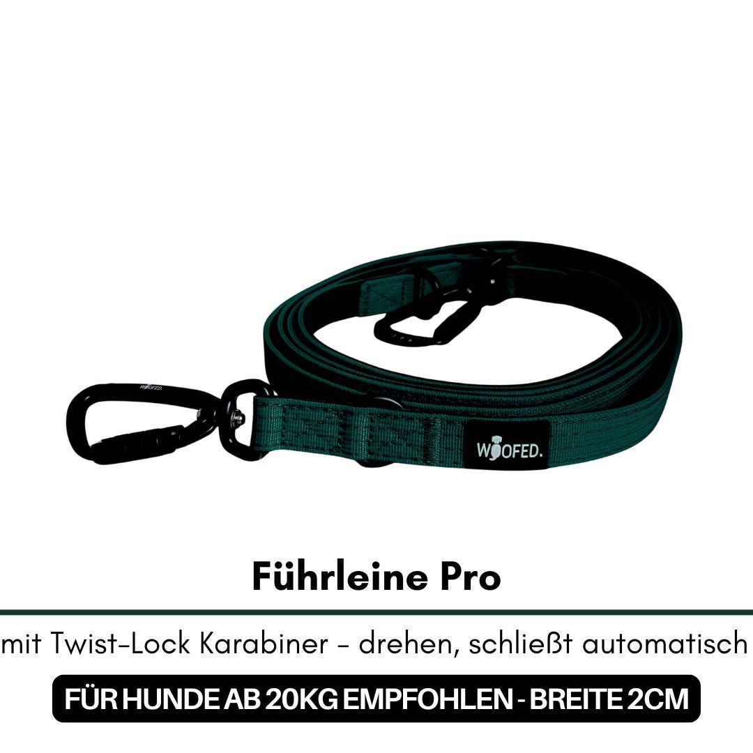 Aufgerollte dunkelgrüne Hundeleine, flaches Band mit schwarzem Karabiner und WOOFED-Label, Draufsicht