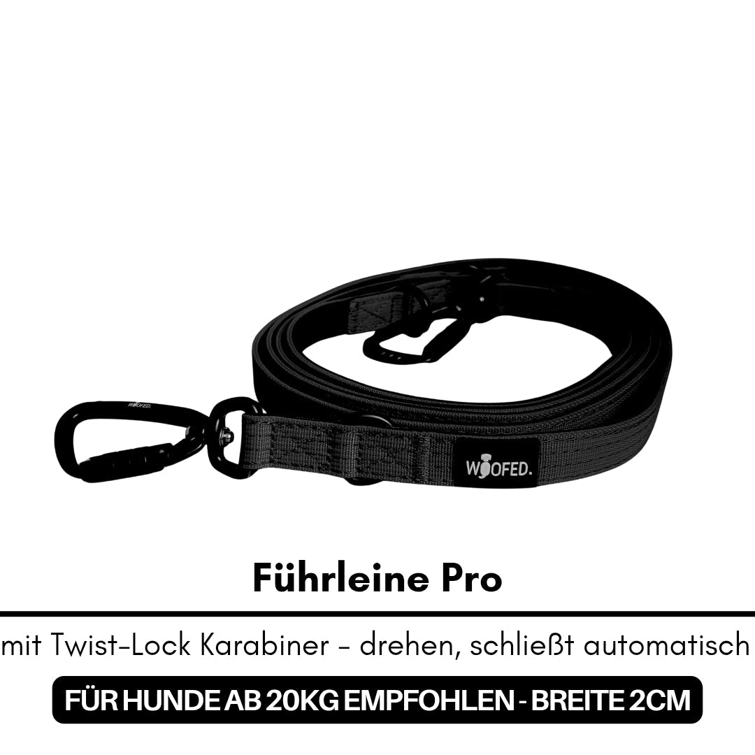 Schwarz gerollte Führleine Pro mit Twist-Lock-Karabiner und WOOFED-Label, Draufsicht auf weißem Hintergrund.
