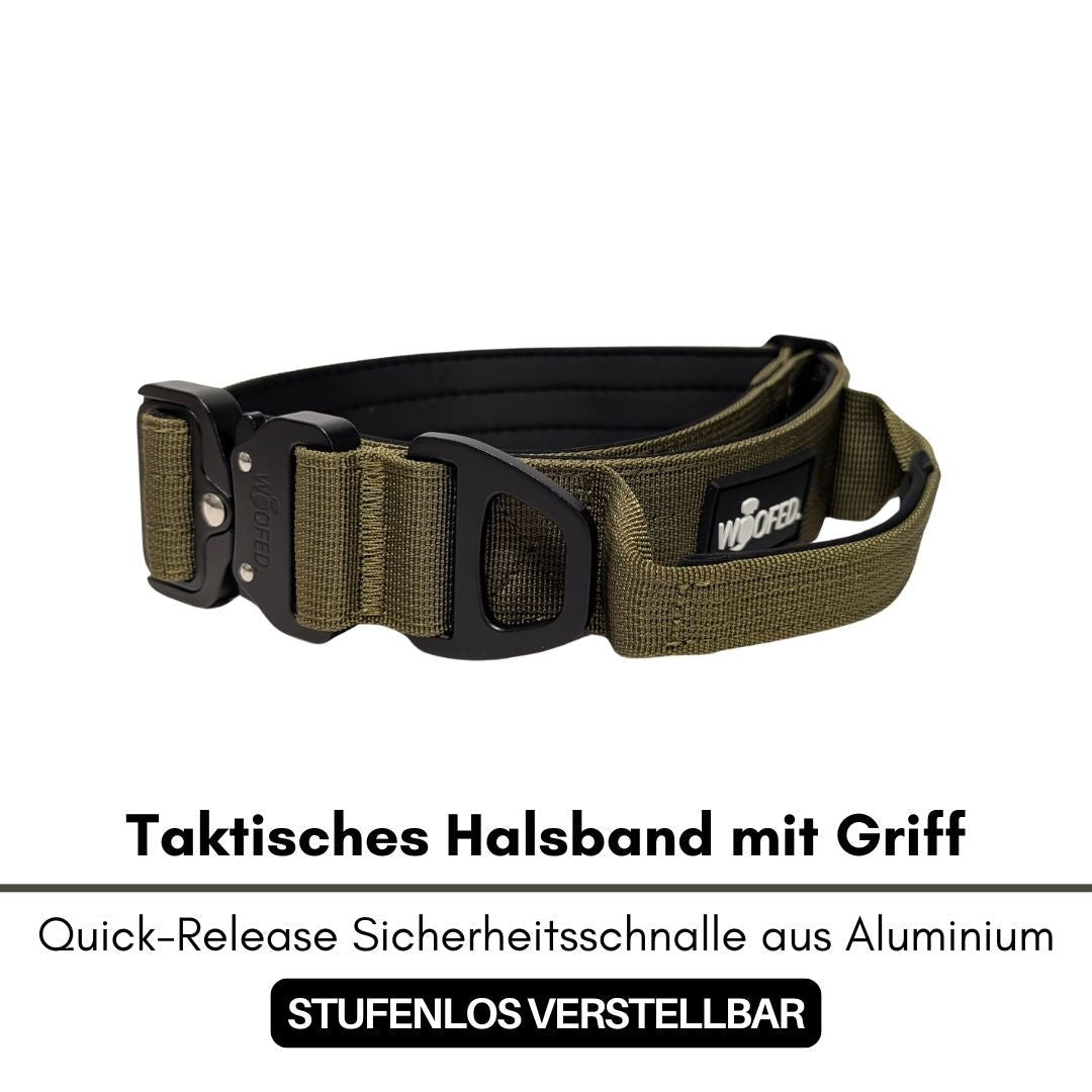 Halsband-Leinen-Set Nylon – Military Olive