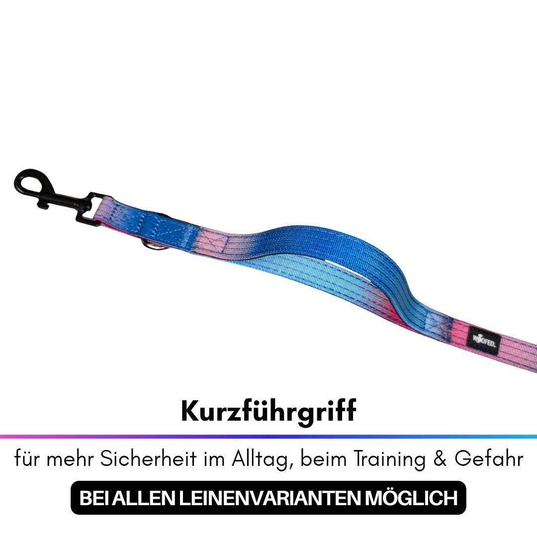 Kurzführgriff einer Nylon-Leine mit Blau‑Pink Farbverlauf, schwarzer Karabiner und WOOFED-Label, Draufsicht, weißer Hinterg﻿r