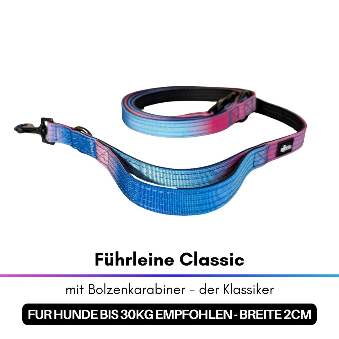 Führleine Classic im Blau‑Pink-Farbverlauf, 2 cm breit, mit schwarzem Bolzenkarabiner und schwarzer Innenlage, liegend