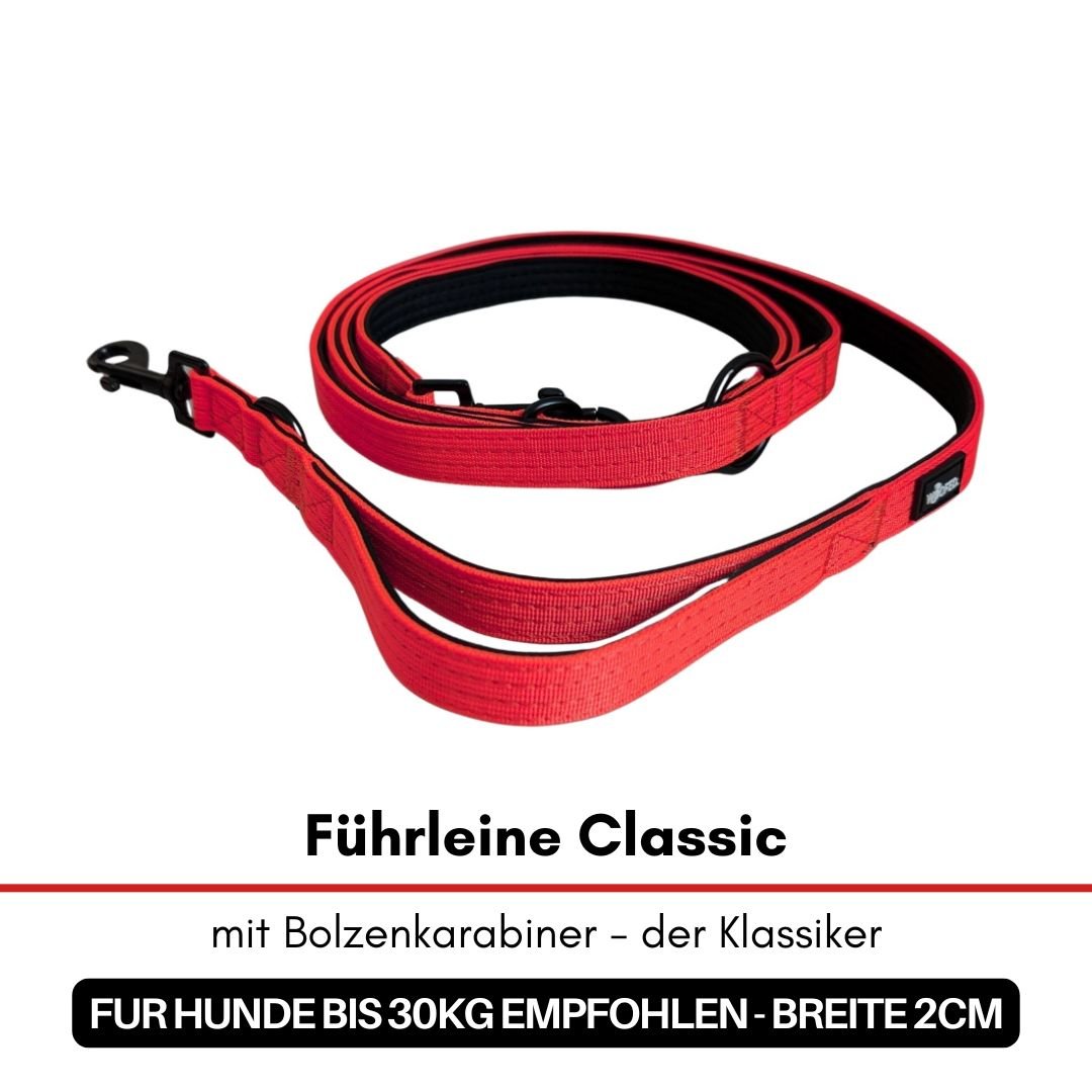 Rote Führleine Classic 2 cm mit schwarzem Bolzenkarabiner, flach aufgelegt, Draufsicht