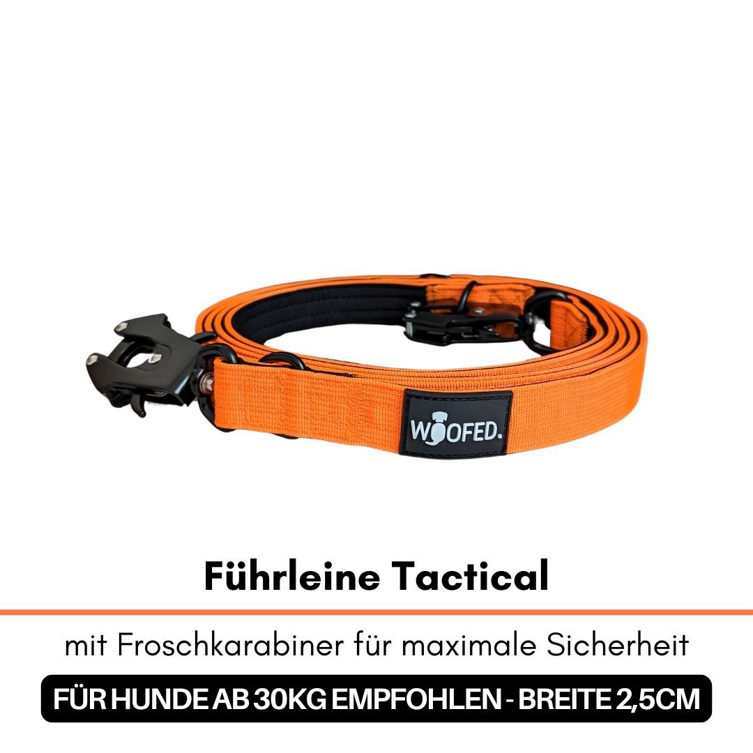 Aufgerollte orange Führleine Tactical mit schwarzem Froschkarabiner und WOOFED‑Label, frontale Nahansicht