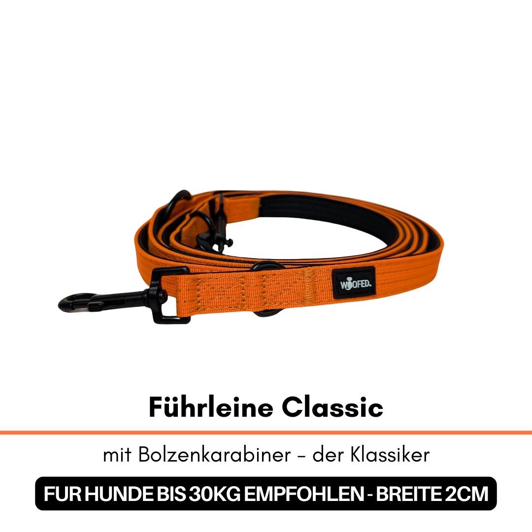 Orange Führleine Classic mit schwarzem Bolzenkarabiner und WOOFED-Label, Nahaufnahme