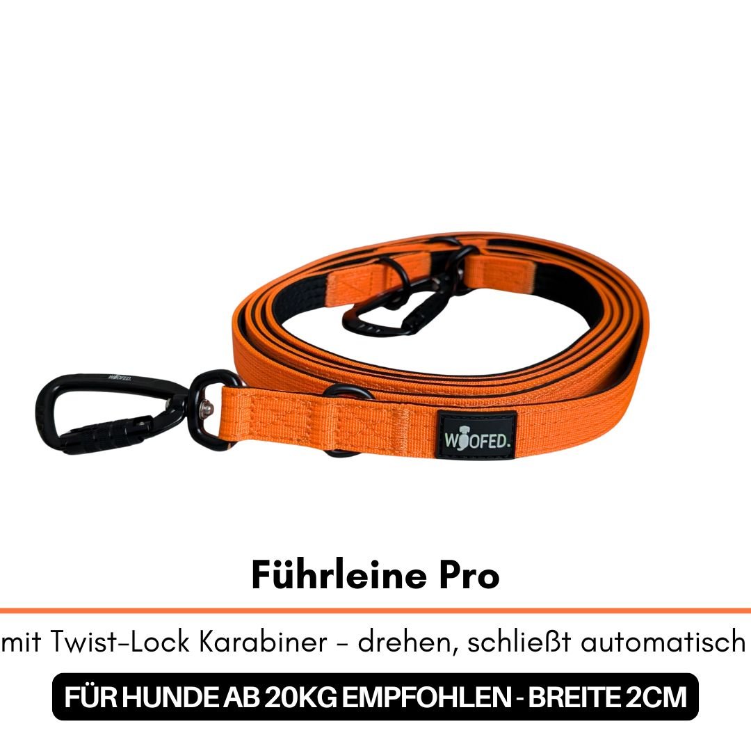 Orange gefaltete Führleine Pro mit schwarzem Twist-Lock-Karabiner und Woofed-Label, Draufsicht