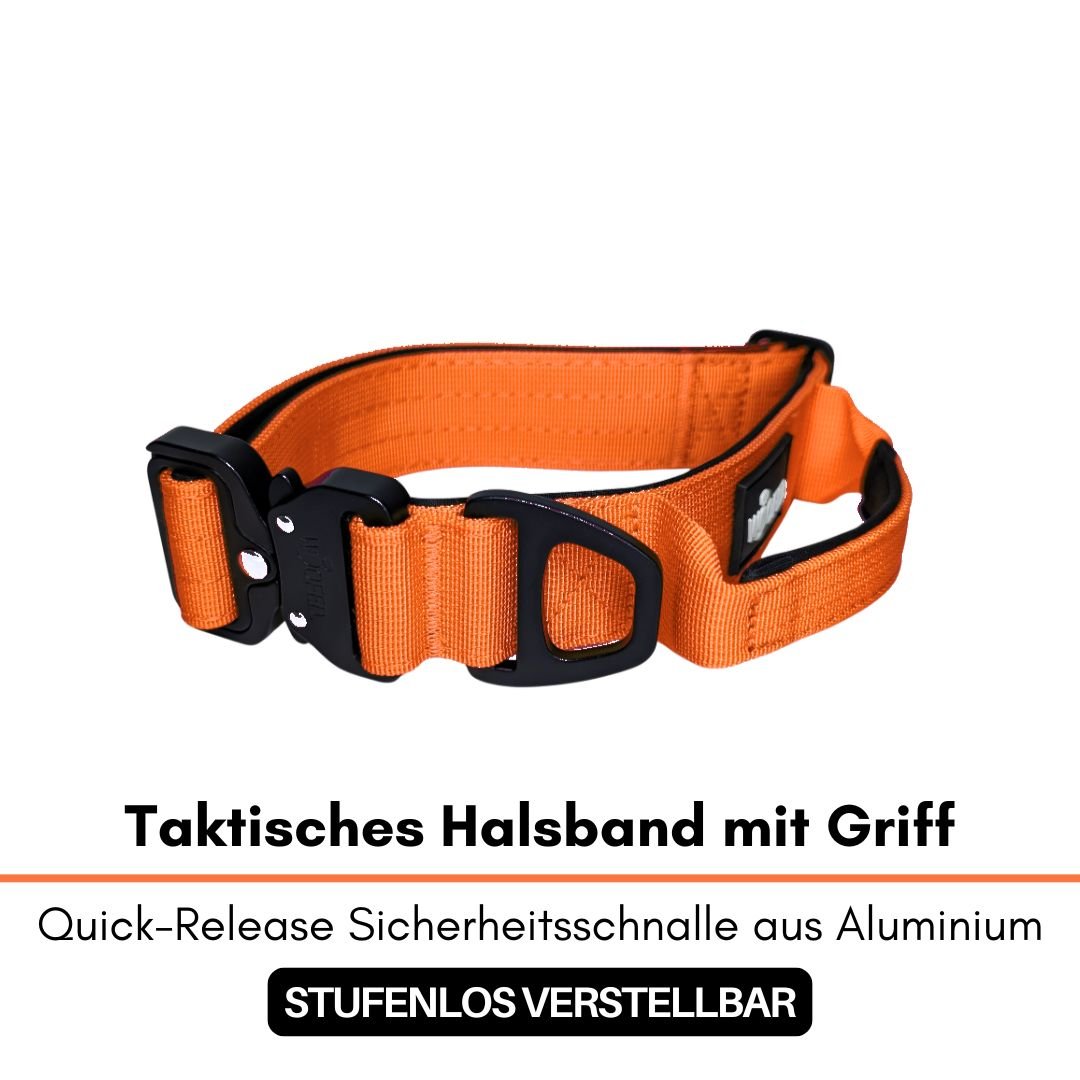 Taktisches Nylon-Halsband in Safety-Orange, Seitenansicht mit schwarzer Quick-Release-Schnalle und D-Ring