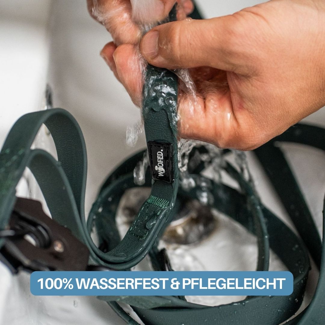 Hand hält dunkelgrüne WOOFLEX-Führleine unter fließendem Wasser, sichtbares WOOFED-Label und Karabiner