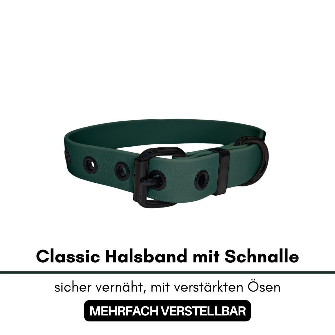 dunkelgrünes Halsband mit schwarzer Metallschnalle und verstärkten schwarzen Ösen, schräg-frontale Ansicht