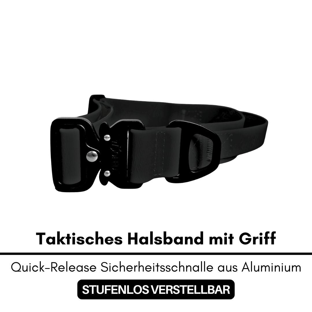 Schwarzes taktisches Hundehalsband flach liegend mit Quick-Release-Metallschnalle, D‑Ring und kurzem Griff, Frontansicht