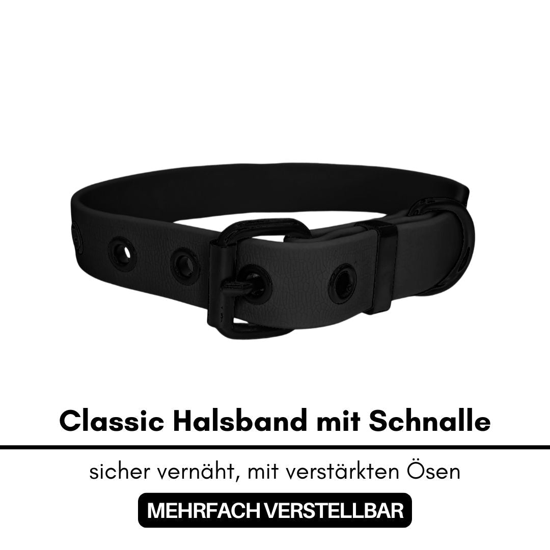 Schwarzes WOOFLEX-Halsband mit Dornschließe, verstärkten Ösen und D-Ring, schräg auf weißem Hintergrund