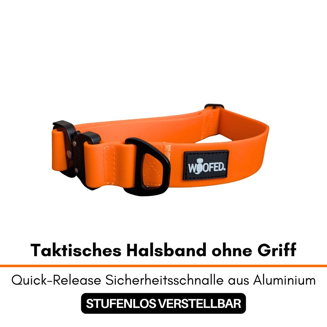 Taktisches WOOFLEX Halsband in Sunset Orange, Schrägansicht mit schwarzer Quick-Release-Schnalle, D‑Ring und WOOFED-Logo auf 