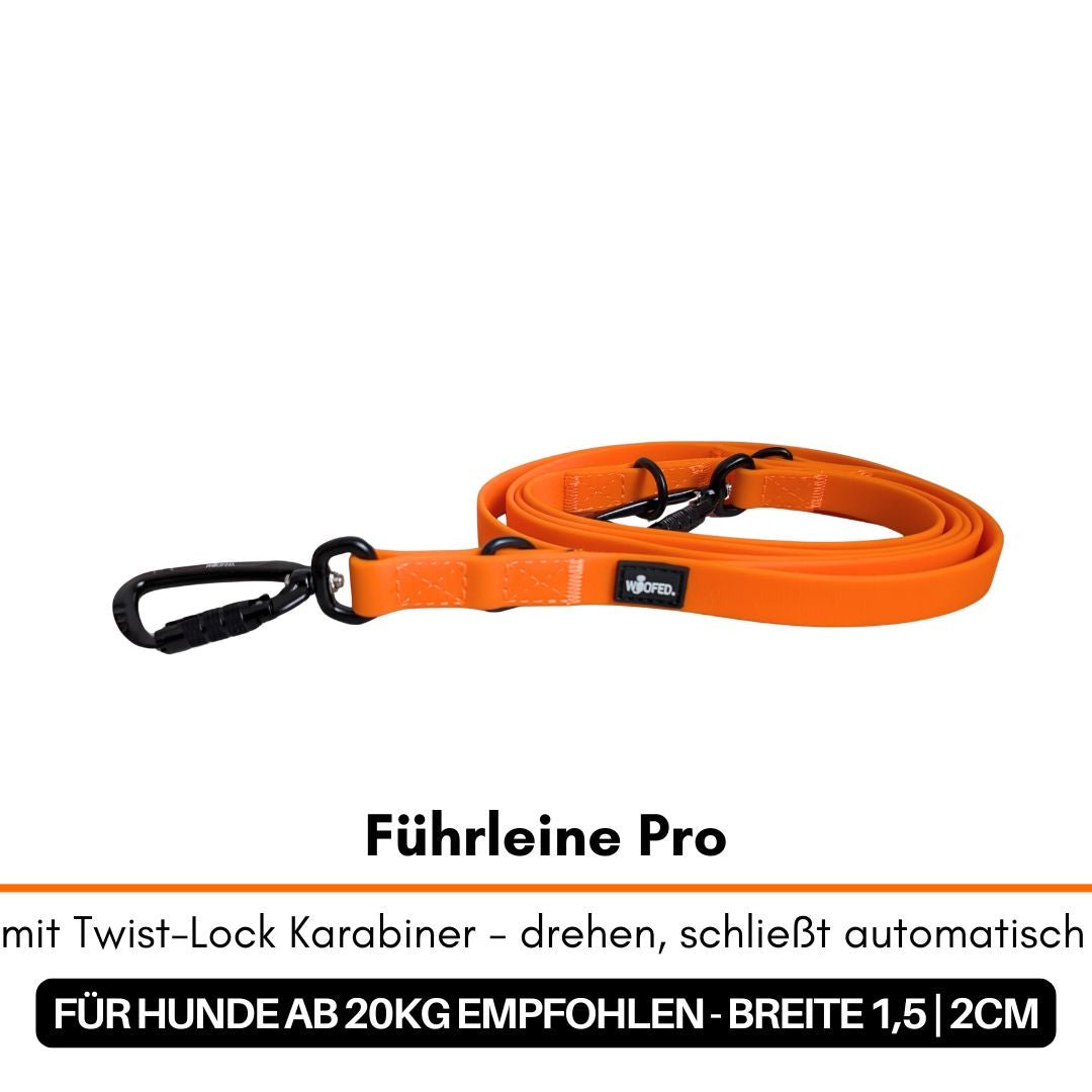 Orange Führleine zusammengerollt, Seitenansicht mit schwarzem Twist‑Lock-Karabiner, Metallringen und kleinem WOOFED‑Label