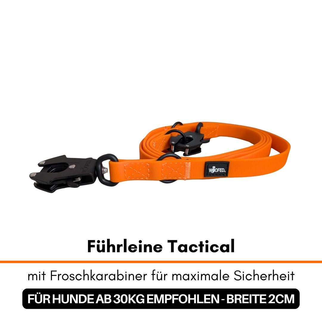 Gefaltete Sunset-Orange Führleine mit schwarzem Froschkarabiner und Ringen, seitliche Ansicht auf weißem Hintergrund