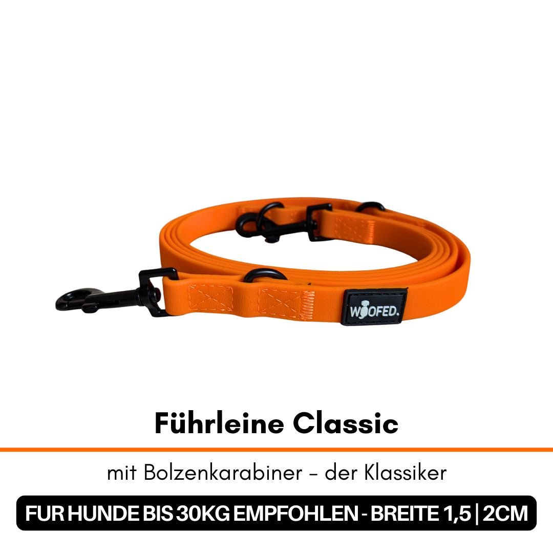 Aufgerollte orange Führleine mit schwarzem Bolzenkarabiner, schwarzen Ringen und WOOFED-Label auf weißem Hintergrund