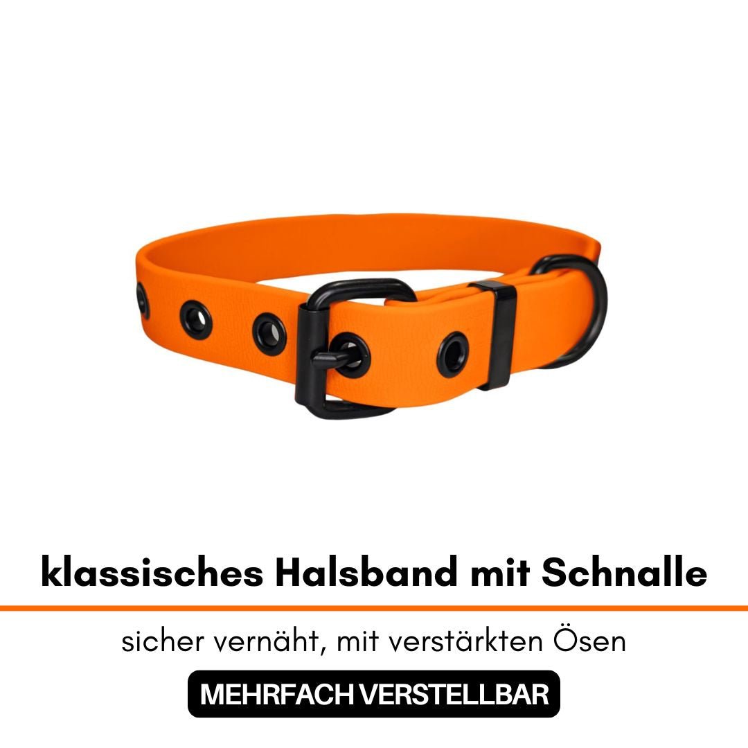 Leuchtend orange Halsband mit schwarzer Schnalle, verstärkten Ösen und D‑Ring, schräge Ansicht auf weißem Hintergrund
