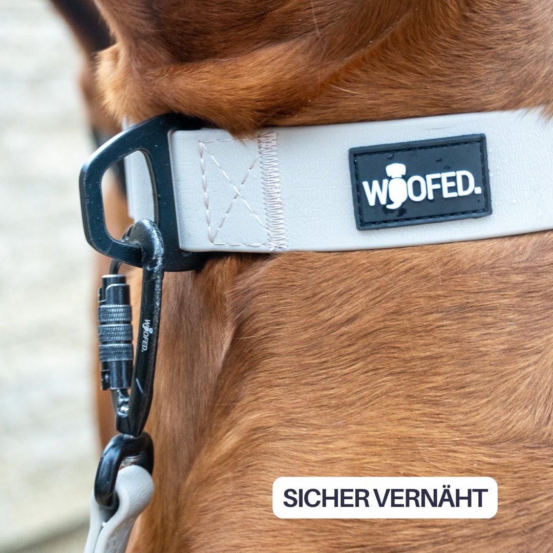 Halsband WOOFLEX® Tactical verstellbar ohne Griff Desert Sand - WOOFED.