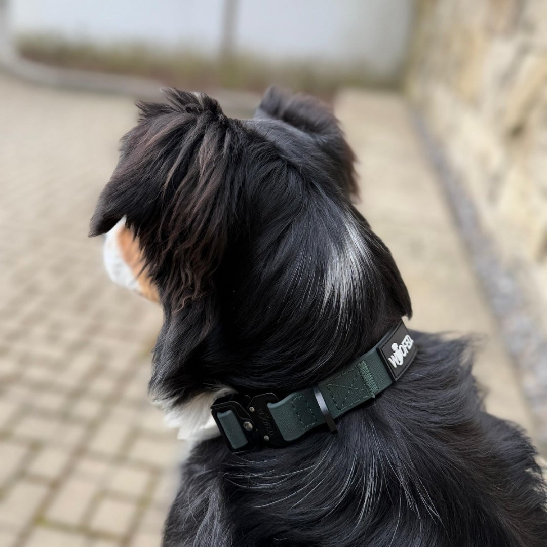 Halsband WOOFLEX® Tactical verstellbar ohne Griff Hunting Green - WOOFED.