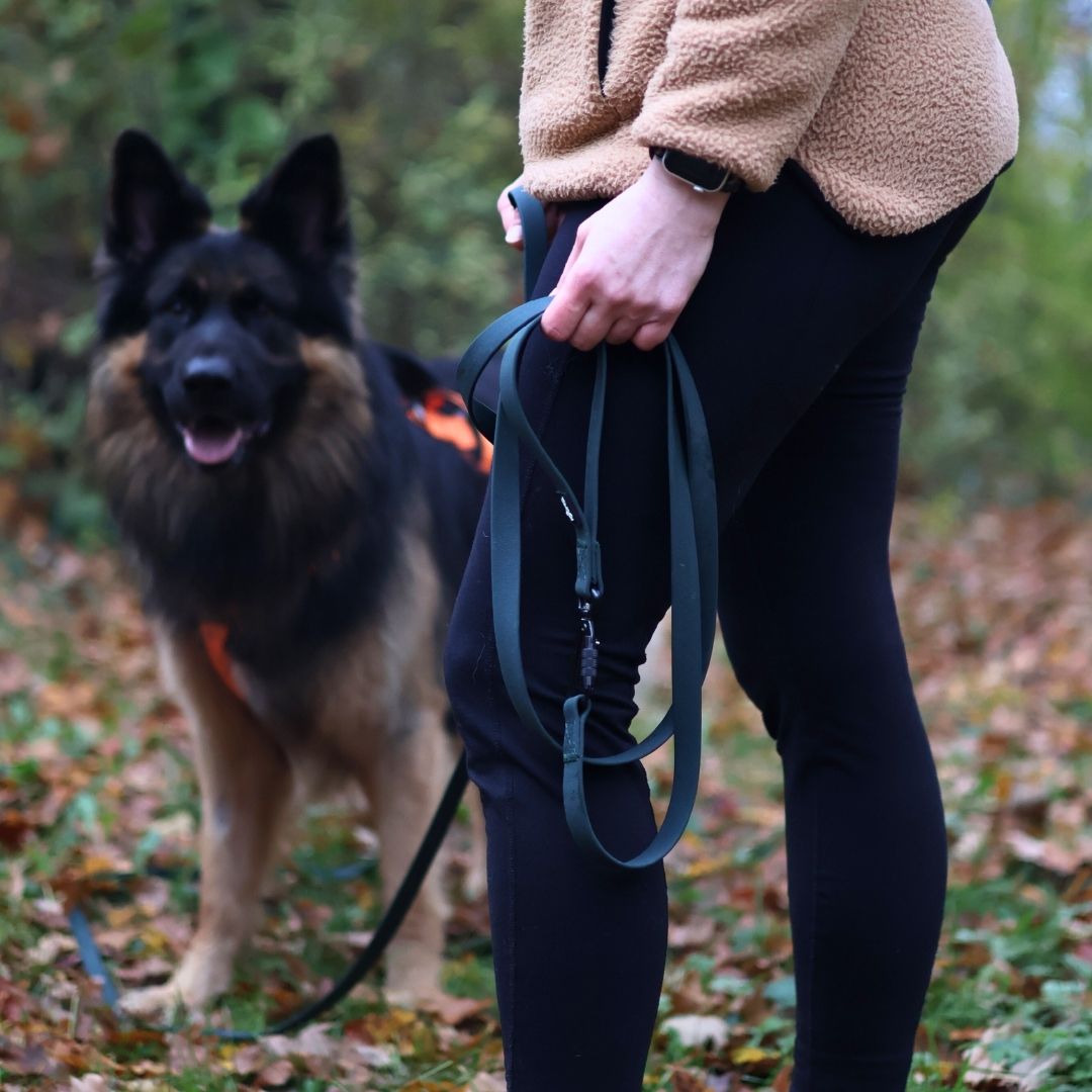 Seitliche Nahaufnahme: Hand hält dunkelgrüne, flache Schleppleine locker gewickelt, Schäferhund im Waldhintergrund