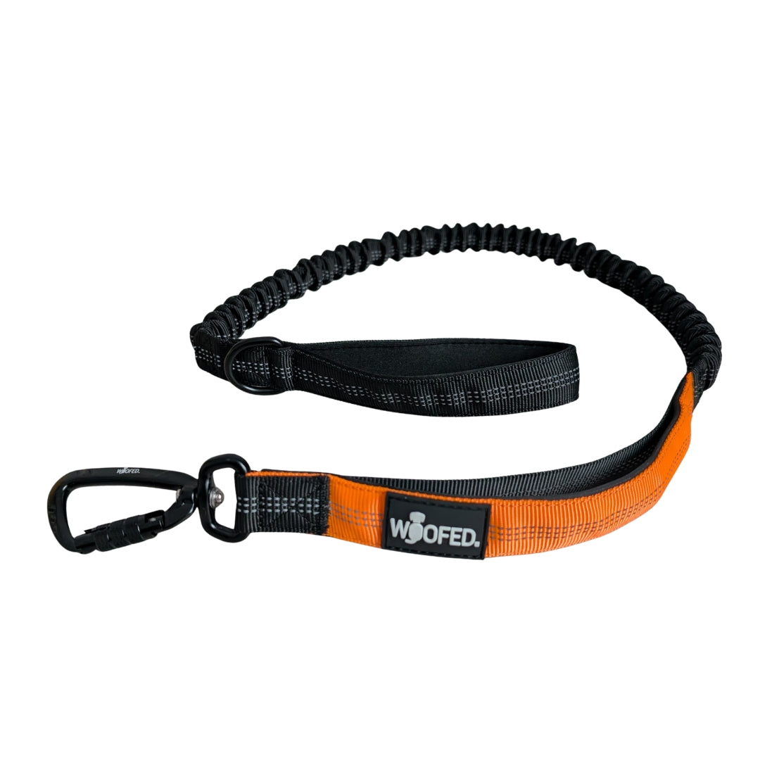 schwarz-orange Bungee-Joggingleine mit gepolsterter Handschlaufe, Metallkarabiner und WOOFED-Logo, liegend