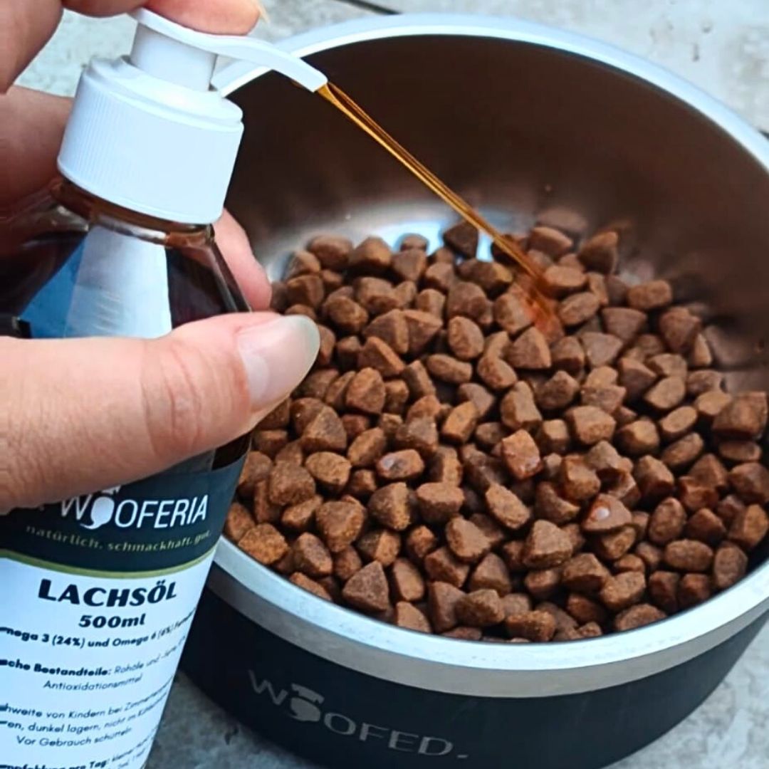 Hand mit Flasche Lachsöl gießt bernsteinfarbenes Öl auf braunes Hundefutter im Edelstahlnapf