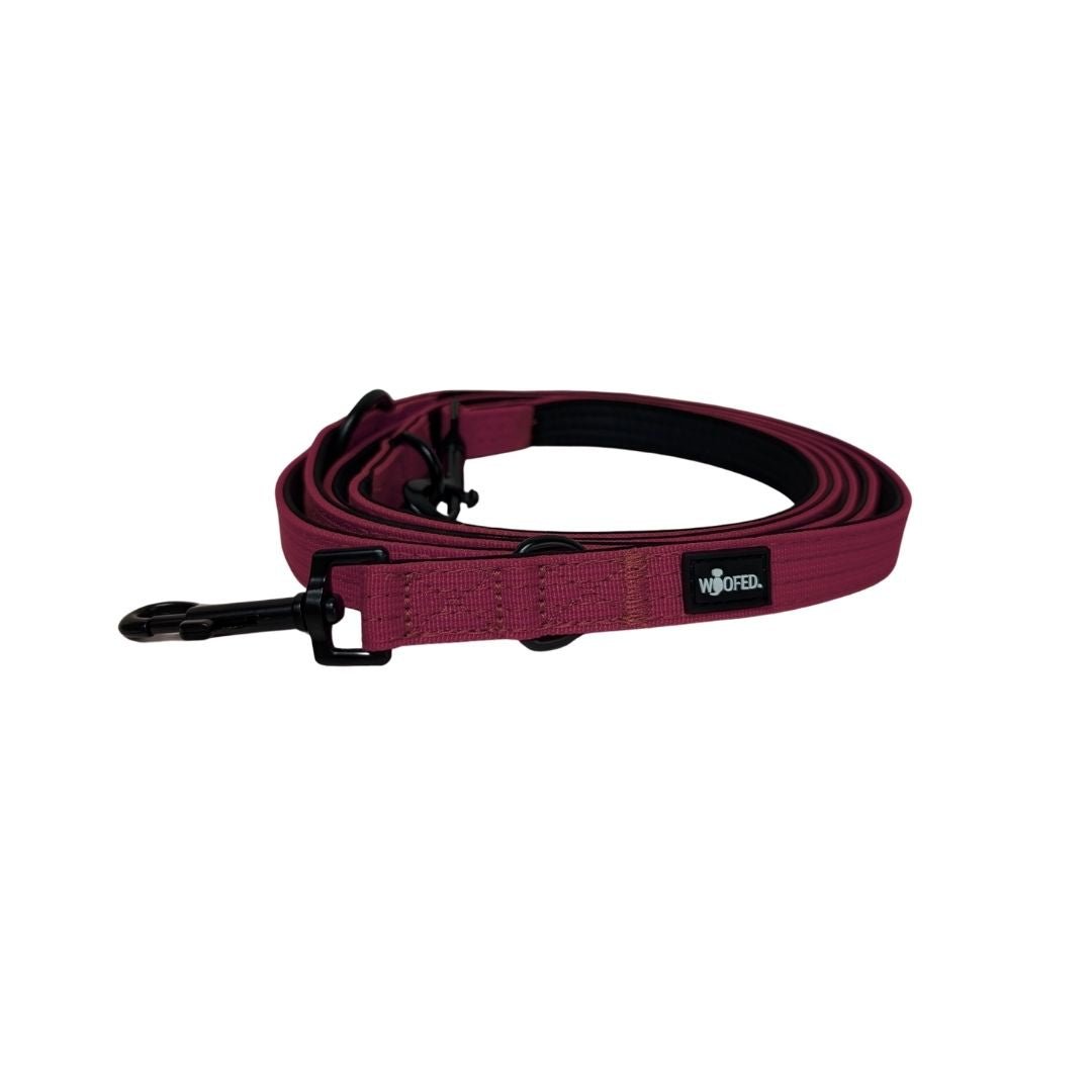 Nylon Classic Führleine Bordeaux - WOOFED.
