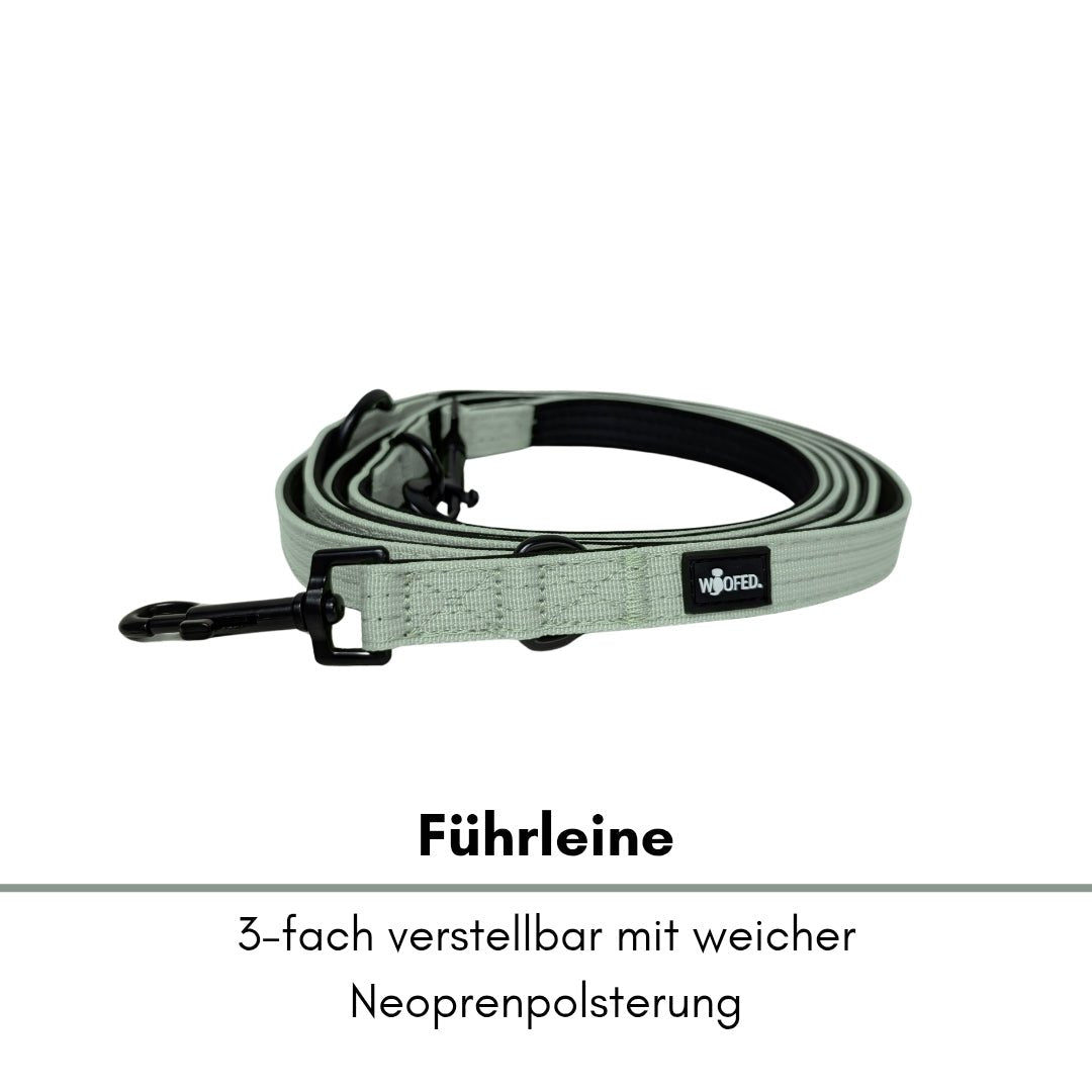 Aufgerollte Führleine in Sagegrün, flaches Band mit schwarzem Metallkarabiner und sichtbarer schwarzer Innenpolsterung