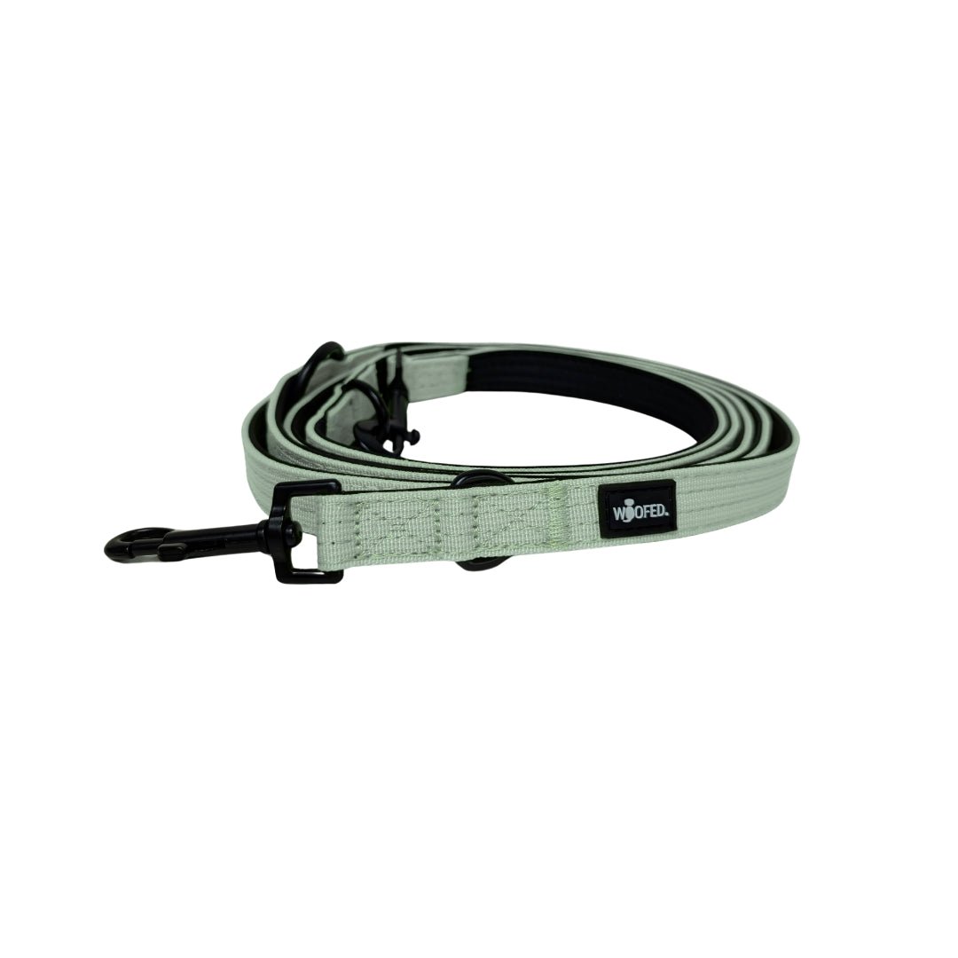 Aufgerollte Nylon Classic Führleine in Sage Green mit schwarzem Karabiner, D-Ring und Woofed-Logo, Seitenansicht