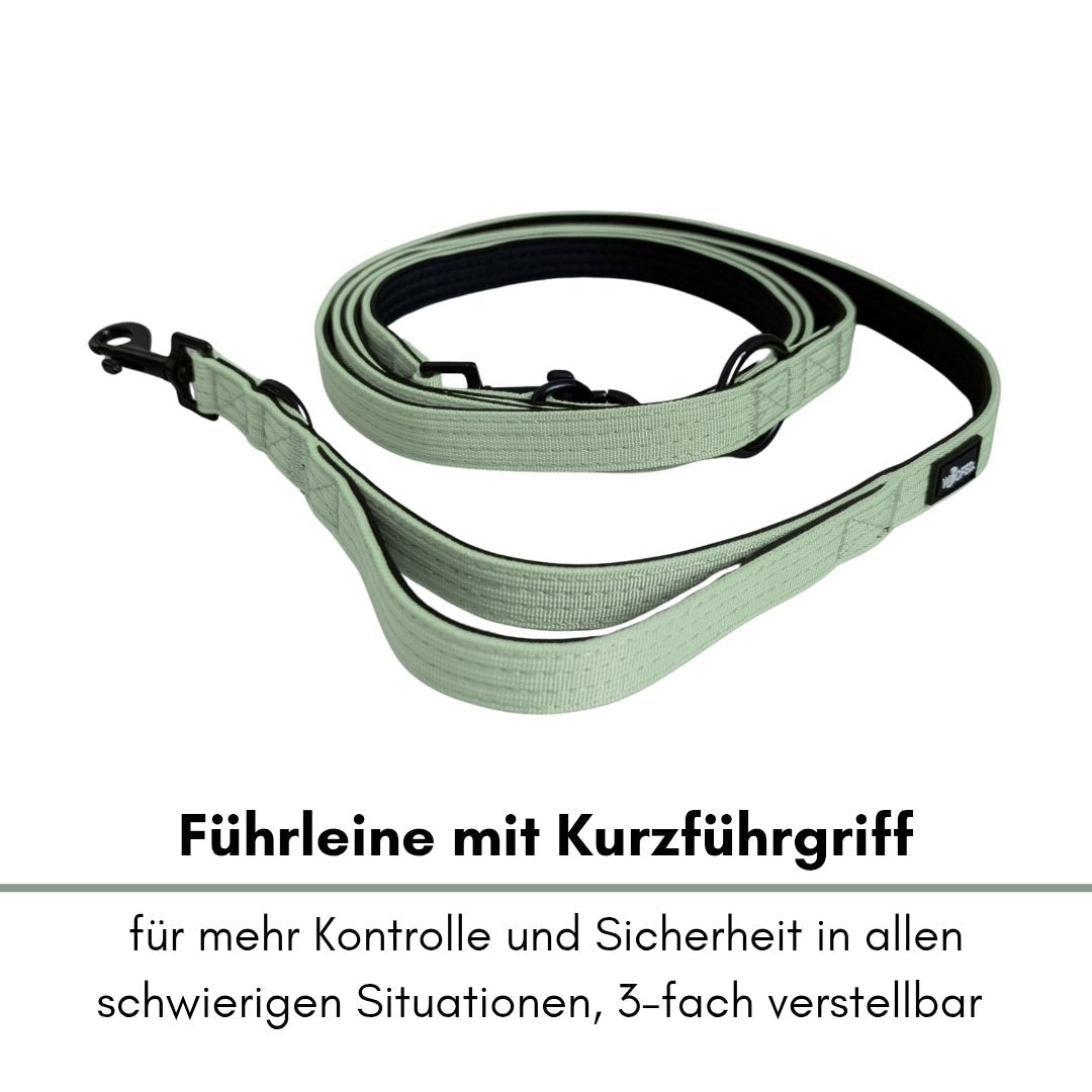 Salbeigrüne Nylon‑Führleine locker aufgerollt, schwarze Kanten, schwarzer Karabiner und Mittelring sichtbar