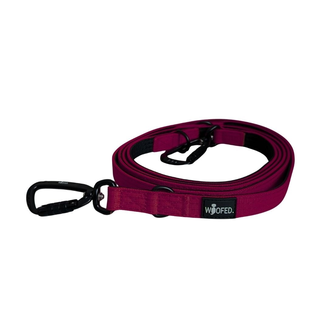 Nylon Pro Führleine Bordeaux - WOOFED.