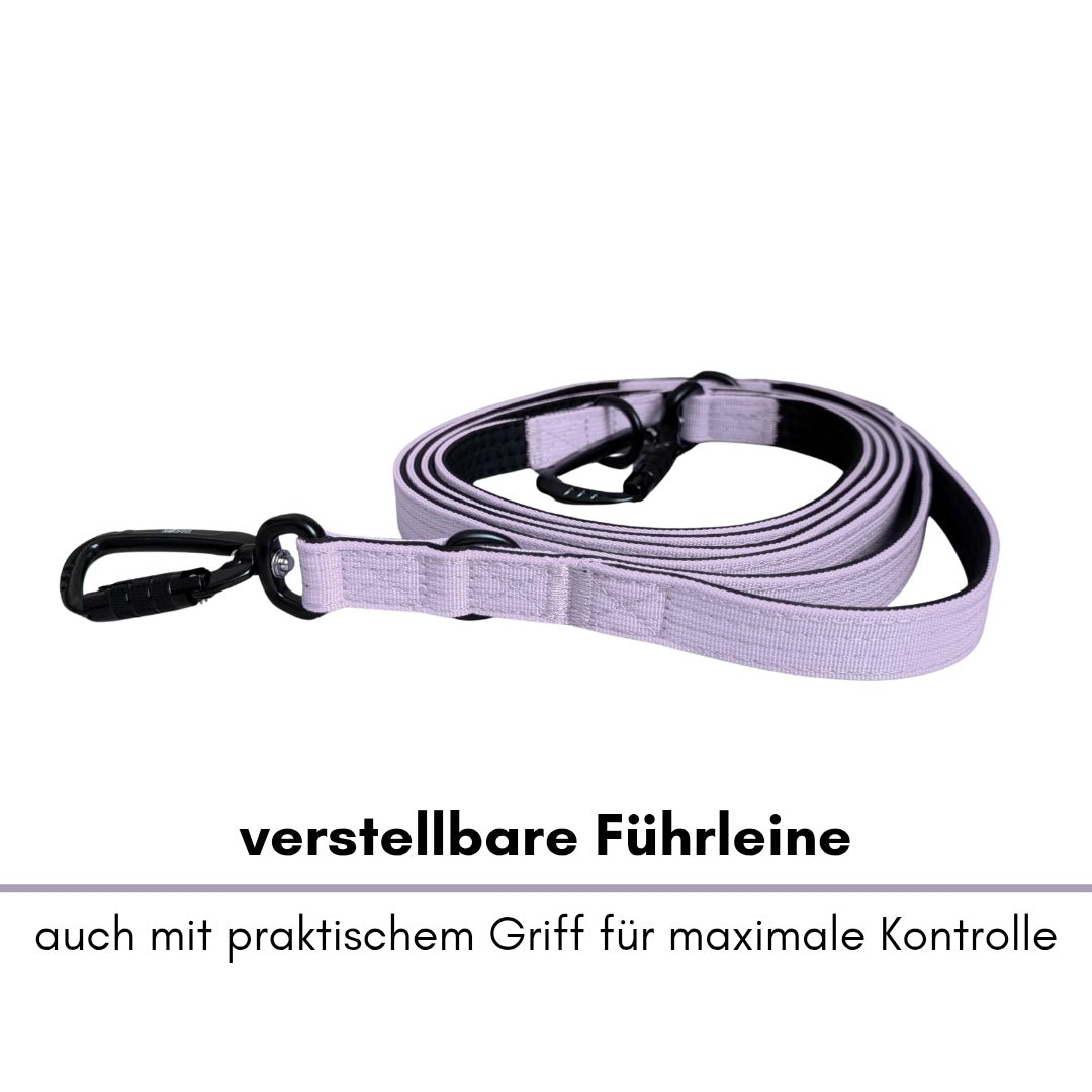Nylon Pro Führleine Lilac - WOOFED.