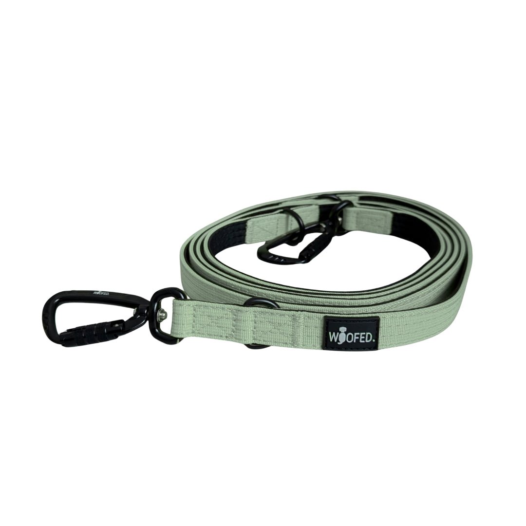 Nylon Pro Führleine in Salbeigrün, aufgerollt, mit schwarzem Karabiner, D-Ring und WOOFED-Label