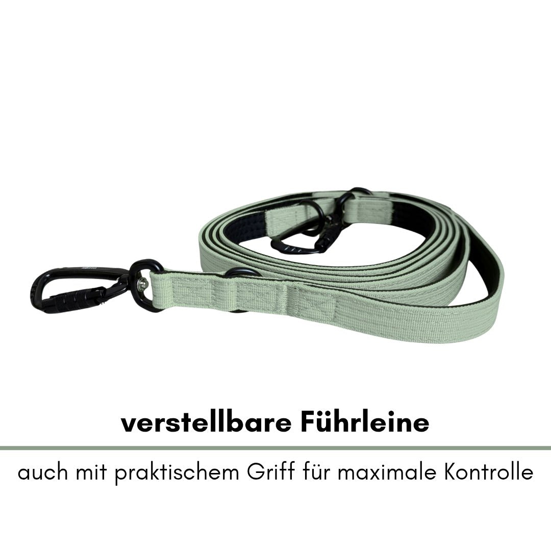 Aufgerollte sagegrüne Nylon-Leine mit schwarzem Karabiner und D-Ringen, seitliche Nahaufnahme
