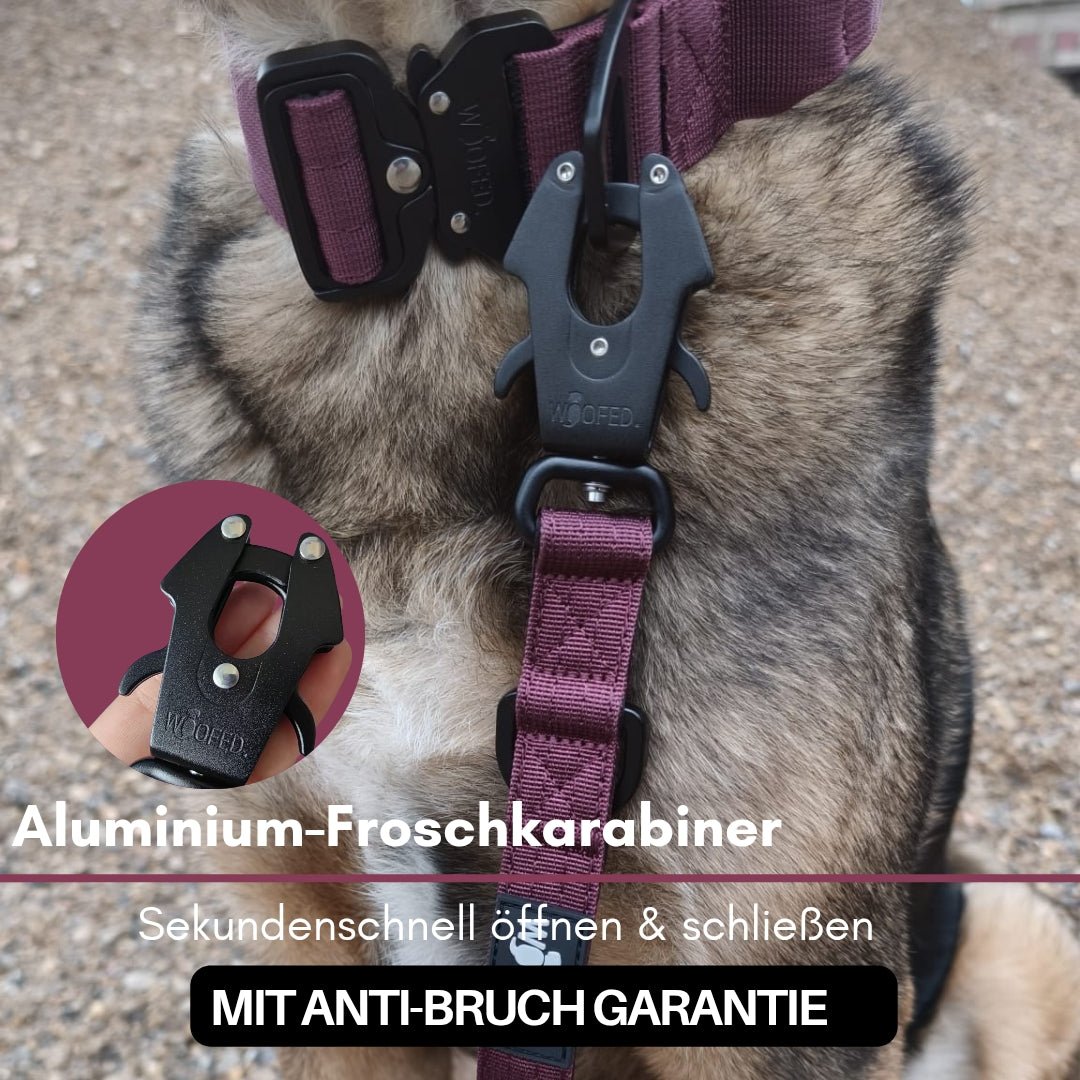 Nylon Tactical Führleine Bordeaux - WOOFED.