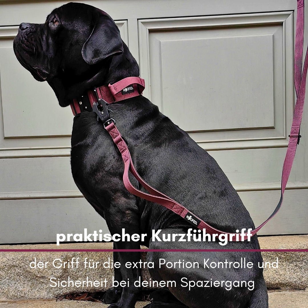Nylon Tactical Führleine Bordeaux - WOOFED.