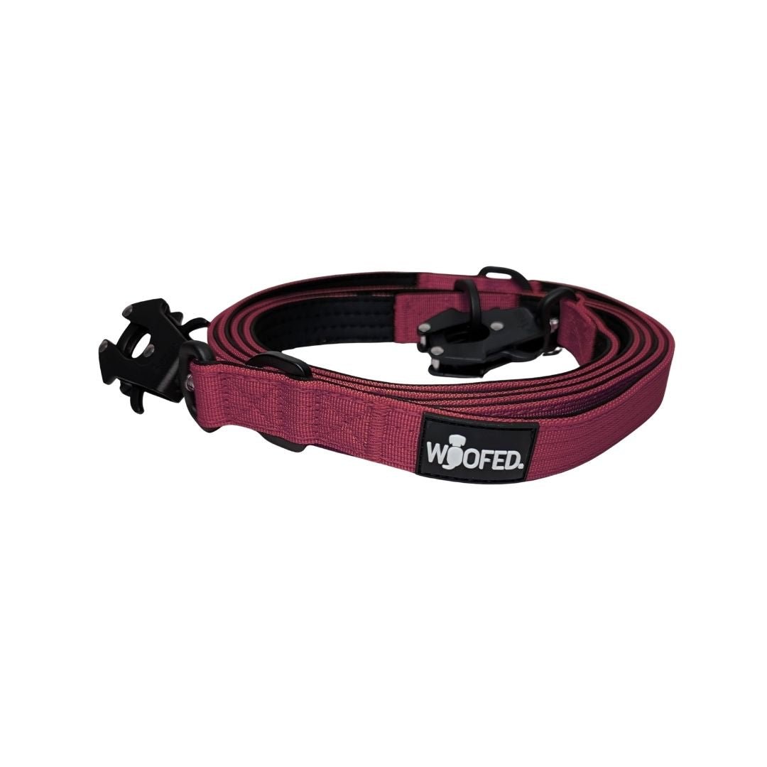 Nylon Tactical Führleine Bordeaux - WOOFED.