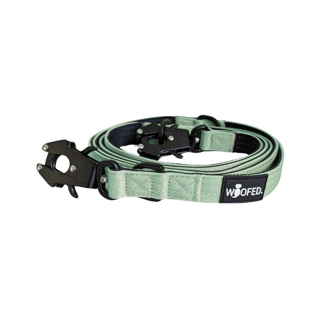 Aufgerollte sagegrüne Nylon-Führleine mit schwarzer Neopren-Innenseite, schwarzem Froschkarabiner und WOOFED-Label