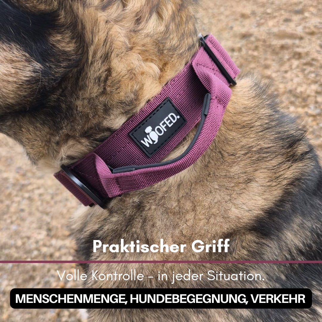 Nylon Tactical Halsband Bordeaux - ultraleicht - WOOFED.