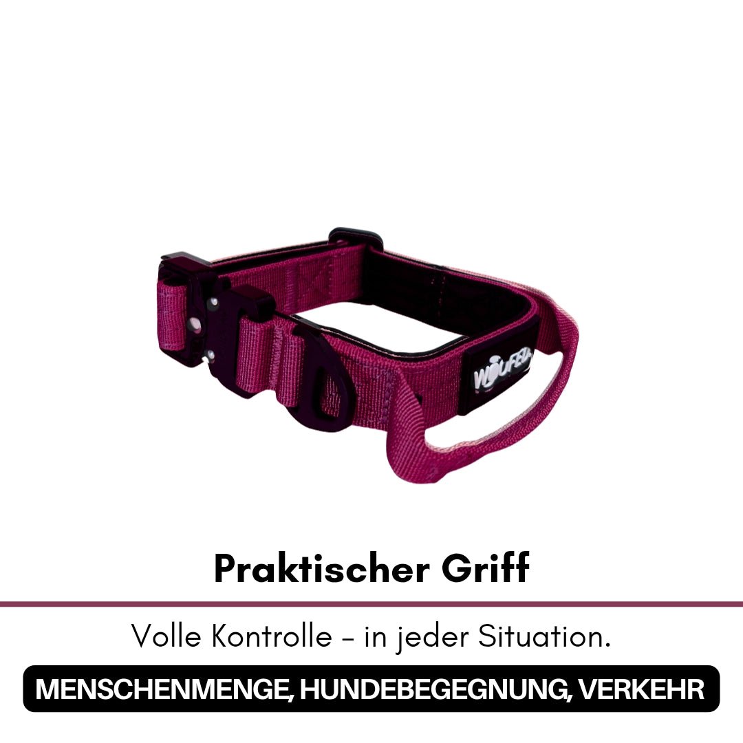 Nylon Tactical Halsband für kleine Hunde Bordeaux - WOOFED.