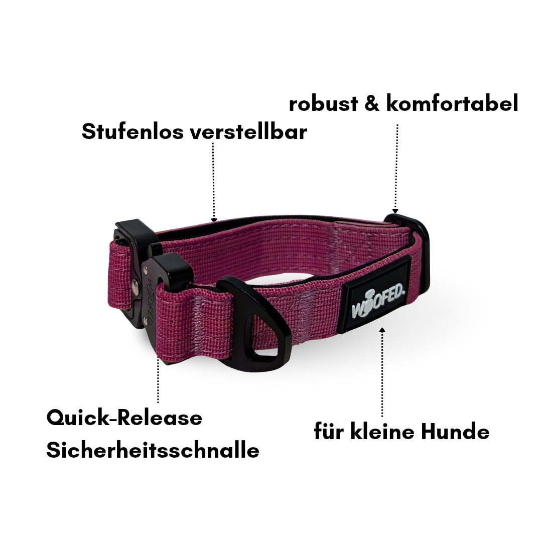 Nylon Tactical Halsband für kleine Hunde Bordeaux - WOOFED.