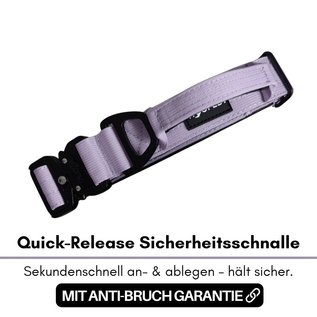 Nylon Tactical Halsband Lilac - ultraleicht - WOOFED.