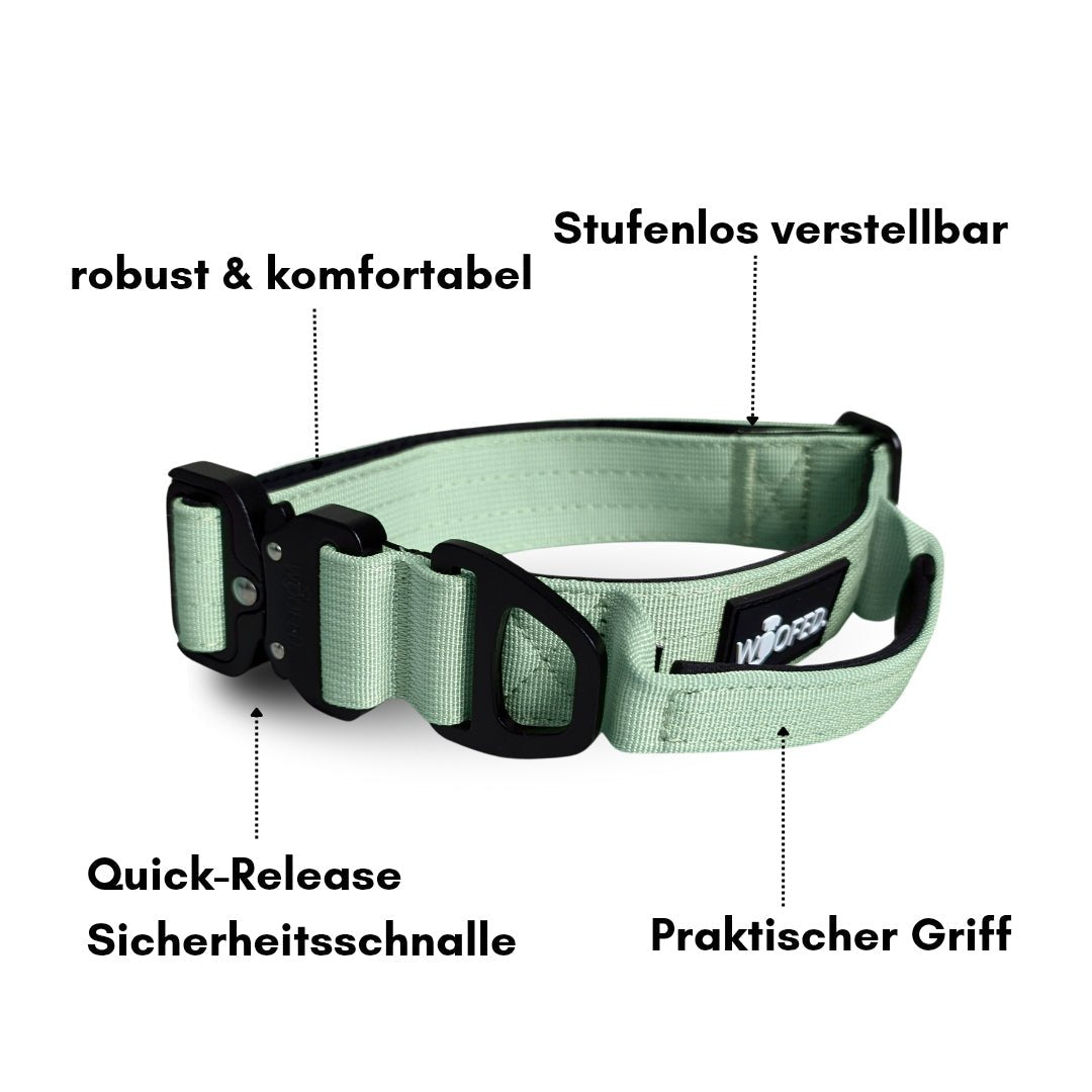 Sagegrünes Nylon-Halsband mit schwarzer Quick-Release-Schnalle, gepolsterter Innenseite und Griff, schräge Seitenansicht