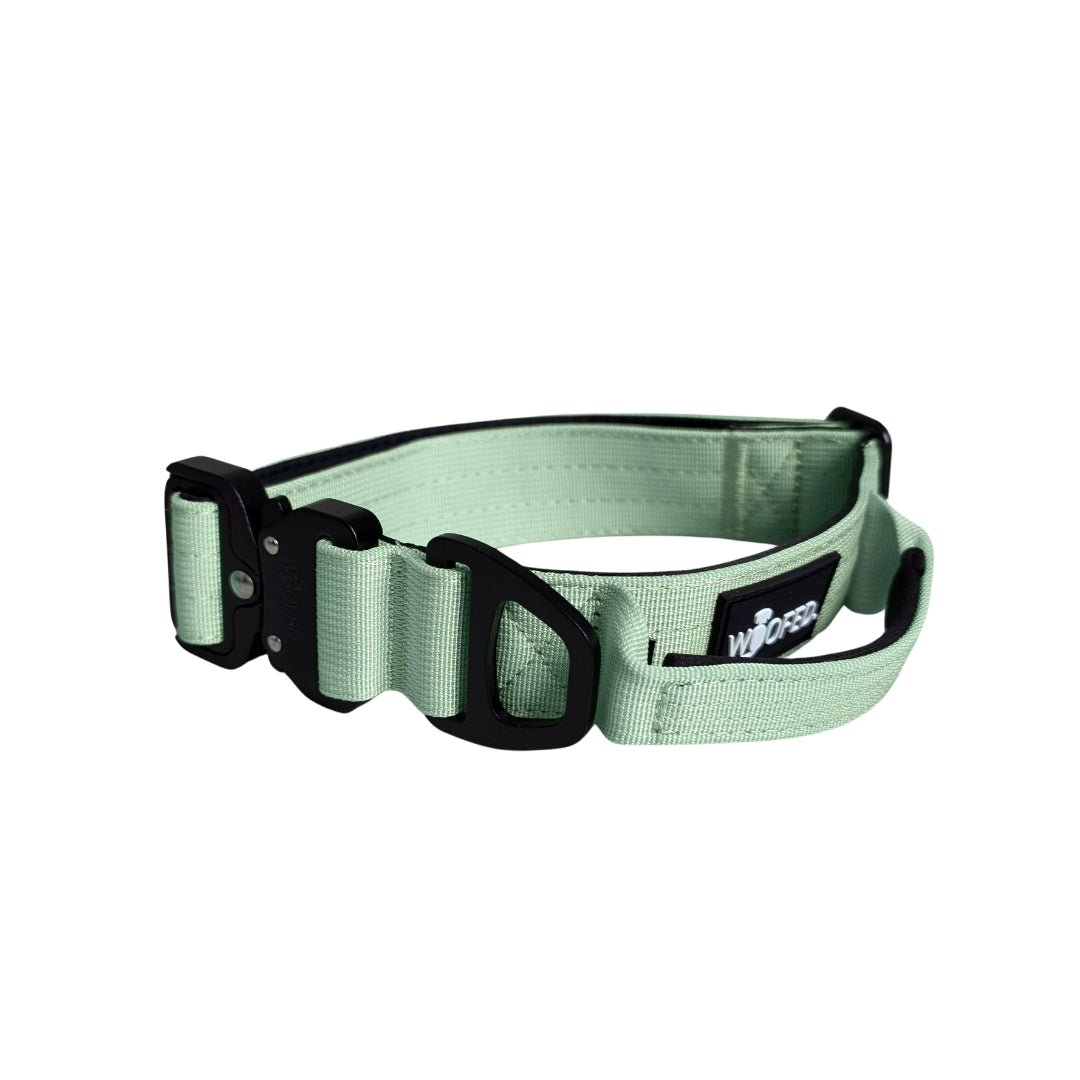 Salbeigrünes Nylon-Tactical-Halsband mit schwarzer Steckschnalle, D-Ring, integriertem Griff und gepolstertem Innenband