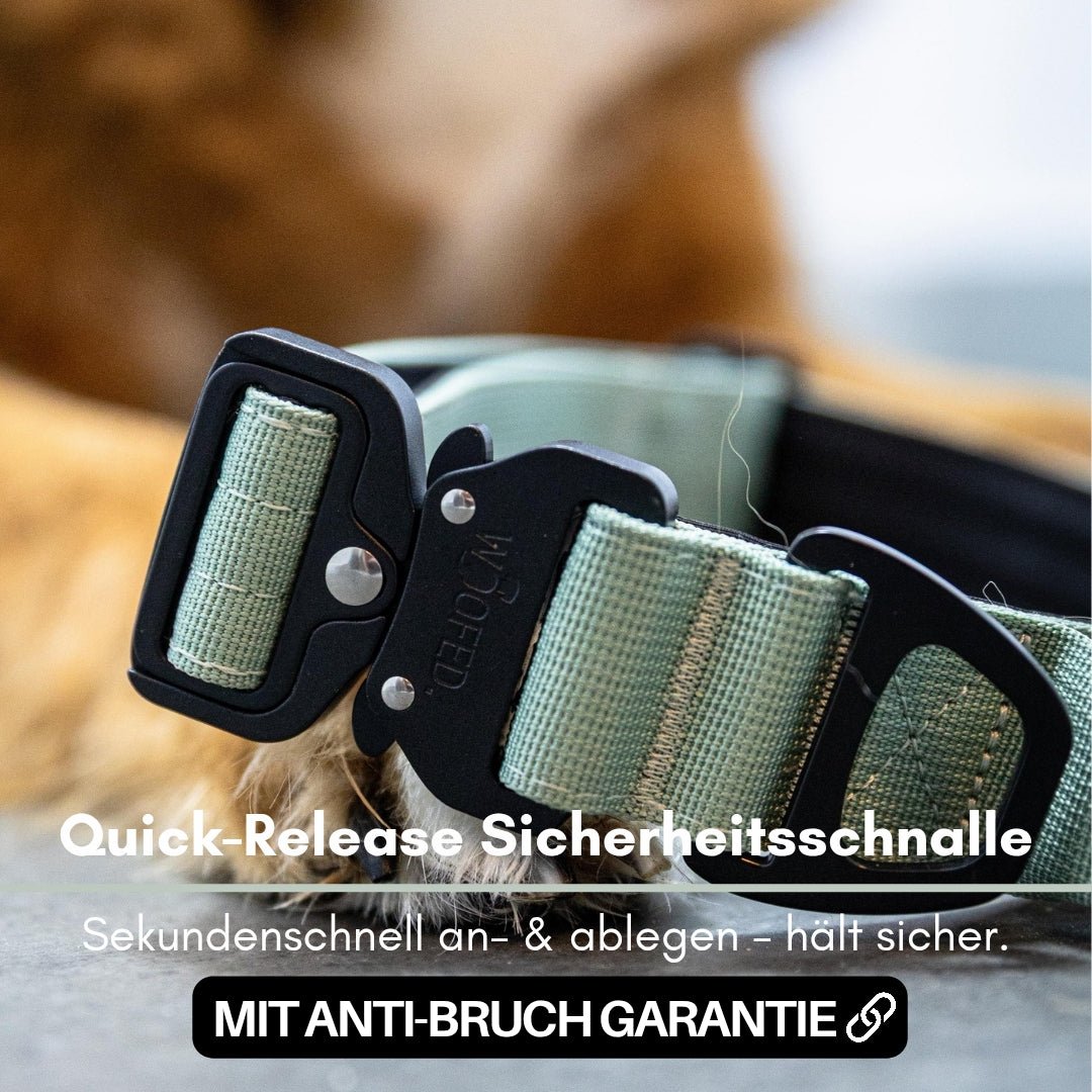 Nahaufnahme olivgrünes Nylon-Hundehalsband mit schwarzer Quick-Release-Schnalle, vor verschwommenem Hundefell.