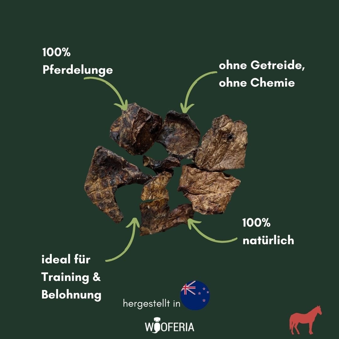 Mehrere getrocknete dunkelbraune Pferdelunge-Würfel, Nahaufnahme auf grünem Hintergrund mit Pfeilen und Logos